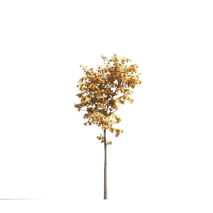 Autumn and Winter Trees Color Trees Yellow Leaf Trees Landscape Trees Courtyard Trees Model Trees Landscape Plants Deciduous Trees Small Trees 3d model