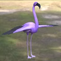 Pink Flying Lizard Reptile With Spread Wings Standing On Green Grassland
