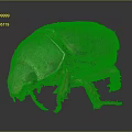 Detailed View of Green Beetle With Shiny Striped Exoskeleton On Gray Background