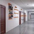 Bright Office Hallway Interior With White Walls Brown Wooden Doors Wall Decor And Ceiling Lights