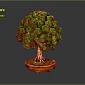 Lush Green Bonsai Tree with Dense Canopy Brown Trunk and Exposed Roots in Orange Pot
