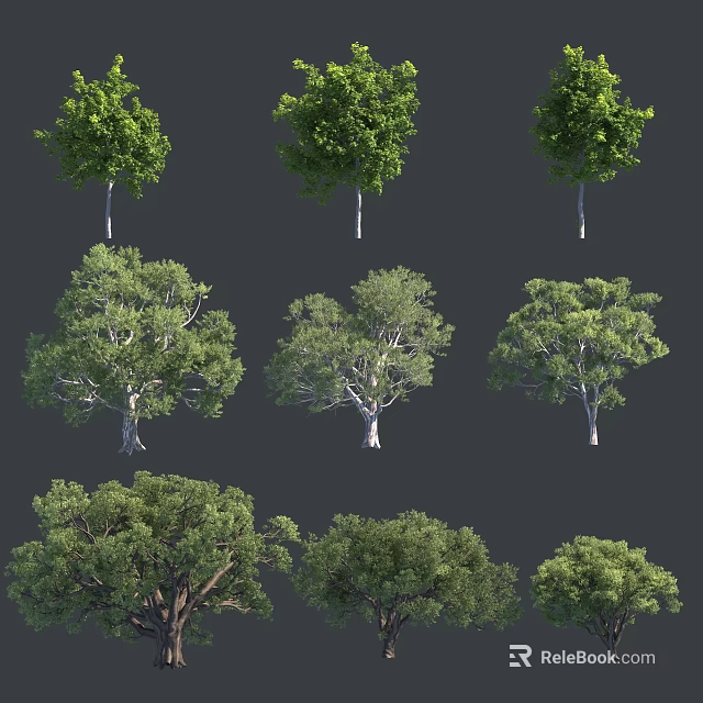 Various Arbor Trees With Lush Green Canopies And Sturdy Trunks For Outdoor Landscaping 3d model 
