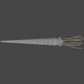 Realistic Marine Cephalopod Model With Spiral Body Extended Tentacles And Large Eye