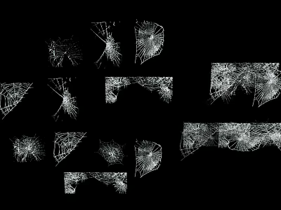 Reptile Lizard Displaying White Web Like Crack Patterns on Black Background 3d model