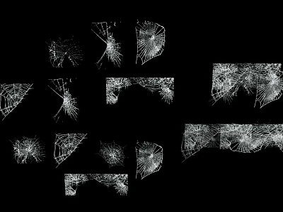 Reptile Lizard Displaying White Web Like Crack Patterns on Black Background 3d model