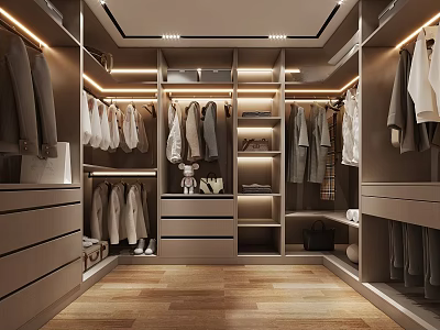 Modern Walk in Closet Interior With Hanging Clothes Cabinets Drawers And Wooden Flooring 3d model
