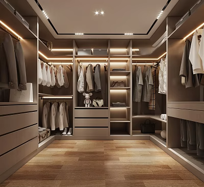 Modern Walk in Closet Interior With Hanging Clothes Cabinets Drawers And Wooden Flooring 3d model