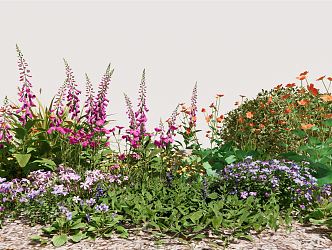 Modern plant flower bushes flower beds flower boxes safflower roadside green digitalis landscape plants 3d model