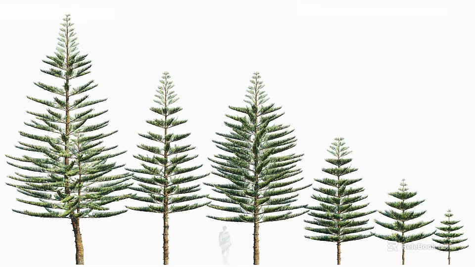 Various Sizes of Arbor Trees in Row with Green Foliage and Straight Trunks 3d model 