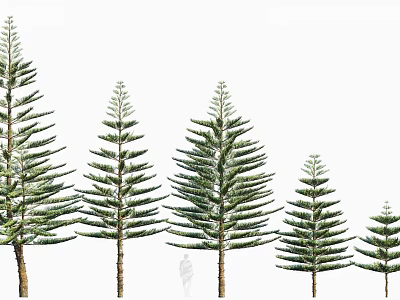 Various Sizes of Arbor Trees in Row with Green Foliage and Straight Trunks 3d model