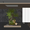 Glass Enclosed Indoor Landscape Featuring Ferns Rocks Circular Light Dark Marble Wall And White Cabinets