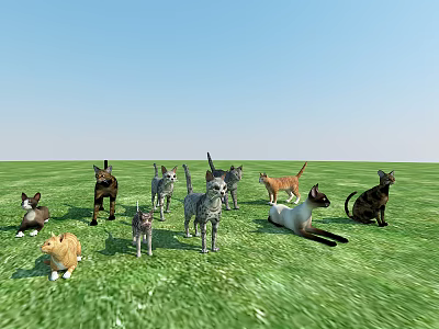 Modern Cat Animal World Cat 3d model Modern Cat Animal World Cat 3d model