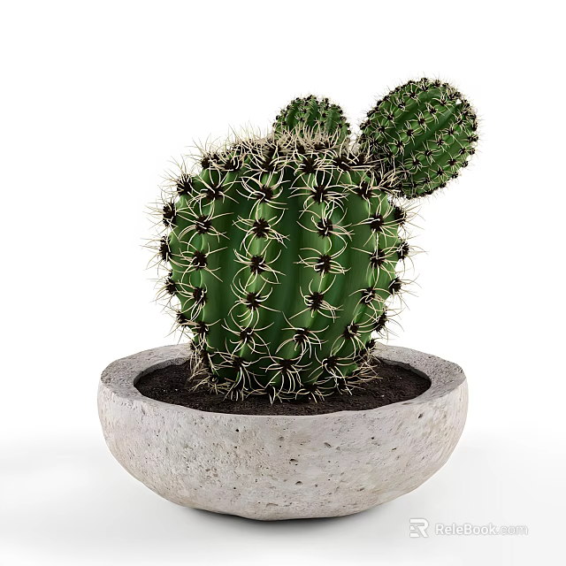 Green Cactus Plant With Spines In Concrete Pot For Home Decoration 3d model 