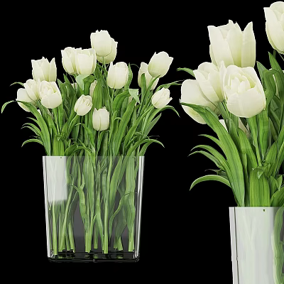 Decorative Arrangement with White Tulip Bouquets in Transparent Glass Vases for Home Interior 3d model