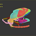 3D Rendered Insect Model With Red Orange Color Shiny Surface And Dark Background