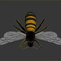 3D Rendered Bee With Yellow Black Stripes And Blue Transparent Wings
