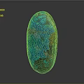 Polished Natural Stone with Oval Shape Turquoise Blue Orange Patterns and Unique Textured Surface
