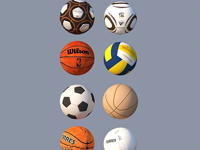 Collection Of Sports Balls Including Soccer Basketball Volleyball And Rugby For Daily Activities 3d model