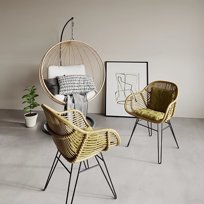 Modern Minimalist Rattan Leisure Chairs With Hanging Design Green Cushion And Potted Plant Decorative Artwork 3d model