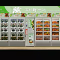 Commercial Display Refrigerators Stocked with Fresh Vegetables and Fruits in Retail Shop