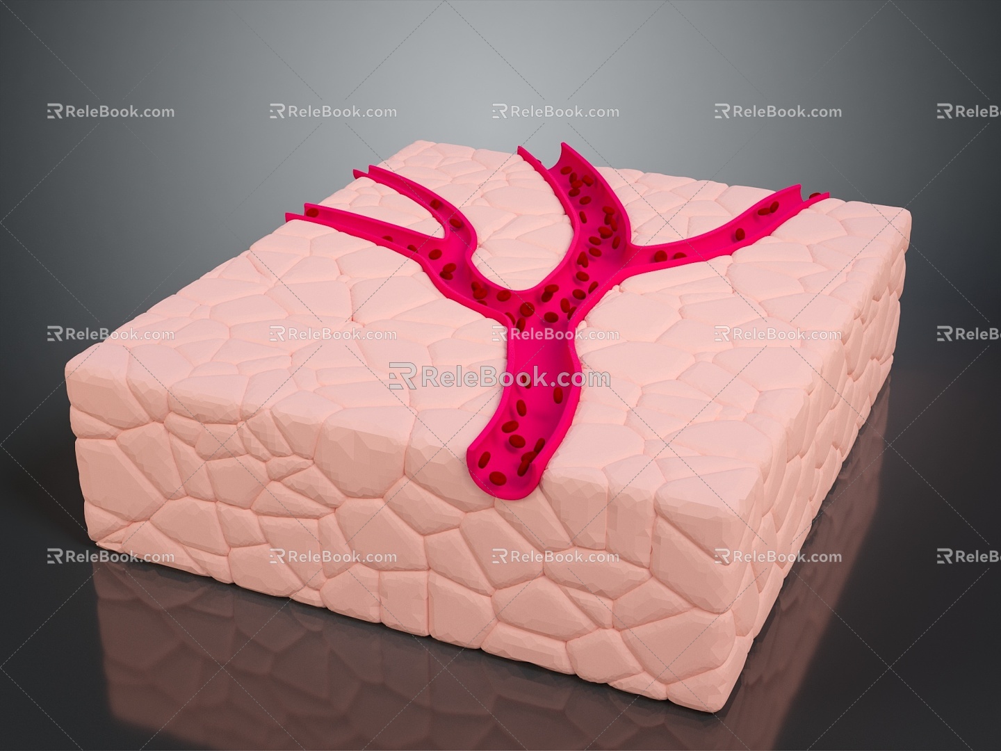 Blood Body Blood Vessel Vessel Artery Vessel Artery Planing Surface Figure Blood Vessel Planing Surface Human Body 3d model