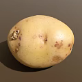 Fresh Yellow Potato Vegetable With Brown Spots And Small Bumps On Surface 3d model