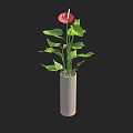 Beautiful Potted Plant With Green Leaves And Red Flowers In Gray Textured Cylindrical Pot