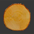 Natural Round Wood Slice With Visible Tree Rings And Smooth Natural Texture