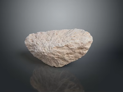 Aquatic Animal Near Natural Rough Stone With Reflective Surface And Texture 3d model