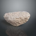 Aquatic Animal Near Natural Rough Stone With Reflective Surface And Texture