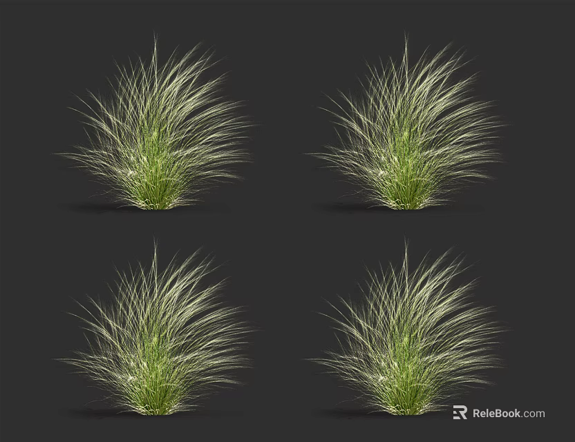 Ornamental Clumping Grasses With Slender Green And Light Colored Leaves On Dark Background 3d model 