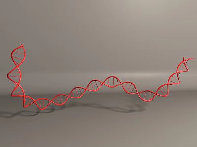 Biological Organization System Featuring Red DNA Double Helix Molecular Structure Model 3d model