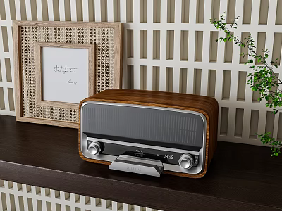 Retro Radio Speaker on Wooden Shelf with Woven Frame and Green Plant 3d model