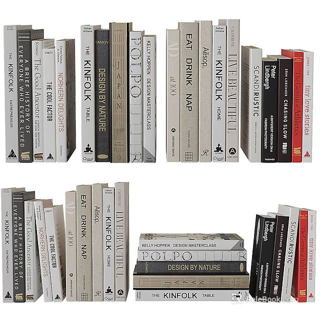 Variety of Books and Magazines with Different Colored Covers Arranged and Stacked on Shelf 3d model 