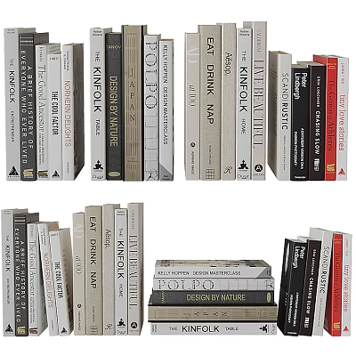 Variety of Books and Magazines with Different Colored Covers Arranged and Stacked on Shelf 3d model