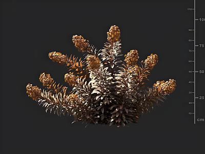 Golden Brown Decorative Plant Foliage With Blooms Against Dark Background And Ruler Scale Size Measurement 3d model