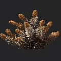 Golden Brown Decorative Plant Foliage With Blooms Against Dark Background And Ruler Scale Size Measurement