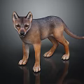 Cute Brown And Gray Wolf Pup With Erect Ears Standing On Black Reflective Surface