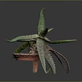Aloe Vera Plant With Green And Red Thorny Leaves In Brown Pot