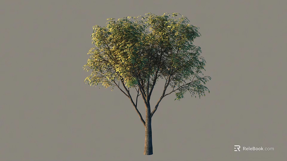 Arbor With Lush Green Foliage And Strong Trunk In Natural Setting 3d model 