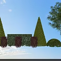 Green Conical Rectangular And Round Bushes With Purple Flowers In Garden Landscape