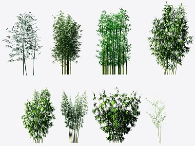Different Types of Green Bamboo Plants with Tall Stems and Leafy Foliage 3d model