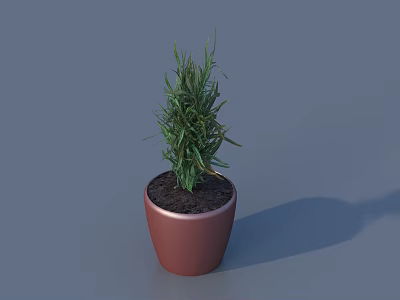 Green Leafy Plant Growing in Brown Ceramic Pot on Gray Background 3d model