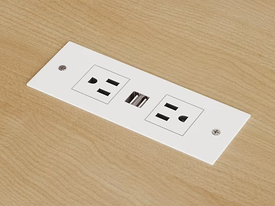 White Electrical Outlet Plate With Dual Power Sockets And USB Port On Wooden Surface 3d model