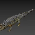 Detailed Crocodile 3D Model With Open Mouth And Scaly Skin