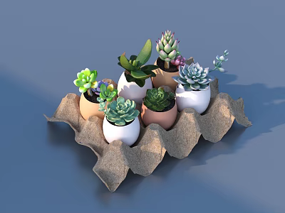 Multiple Small Bonsai Potted Plants In Diverse Pots On Paper Egg Carton Tray 3d model