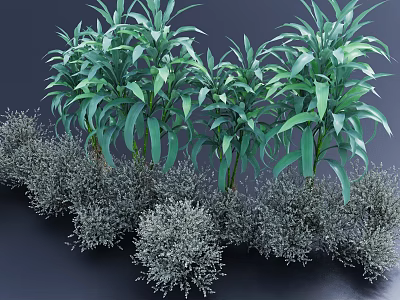 Lush Green Leafy Shrubs Featuring Gray Foliage In Dense Outdoor Garden Arrangement 3d model