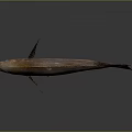 Fish Freshwater Fish Sea Fish Animal Game Animal Cartoon Animal Realistic Animal 3d model