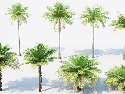 Various Tall Palm Trees With Green Fronds And Brown Trunks On White Background 3d model