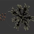Realistic Organ Models And Natural Hair Samples On White Background